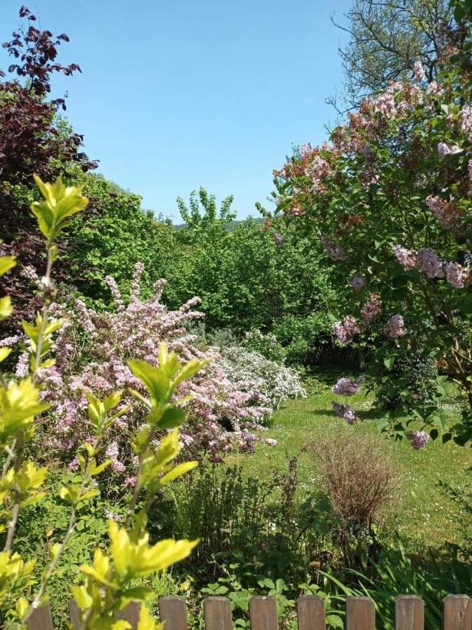L'Escale Arquaise, La Maison Au Jardin Fleuri A 5 Min De Dieppe Arques-la-Bataille Экстерьер фото